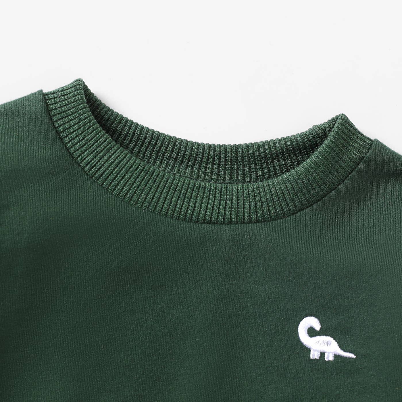 Dinosaur Sweater